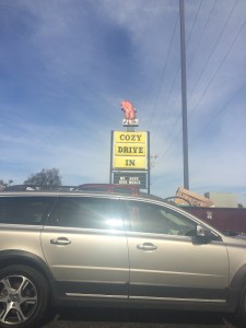 1.1445891736.the-cozy-dog