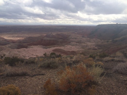 1.1446666346.1-painted-desert-az