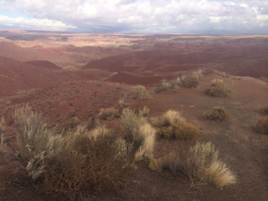 1.1446666346.painted-desert-az
