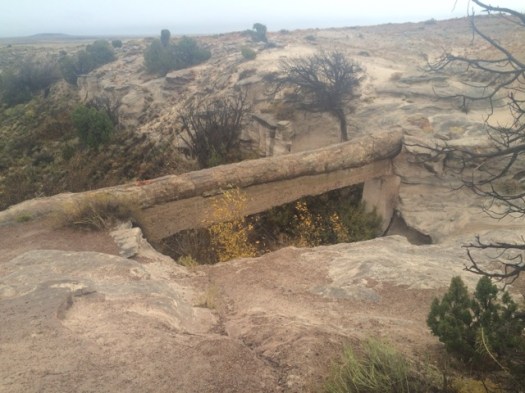 1.1446666346.petrified-log-bridge